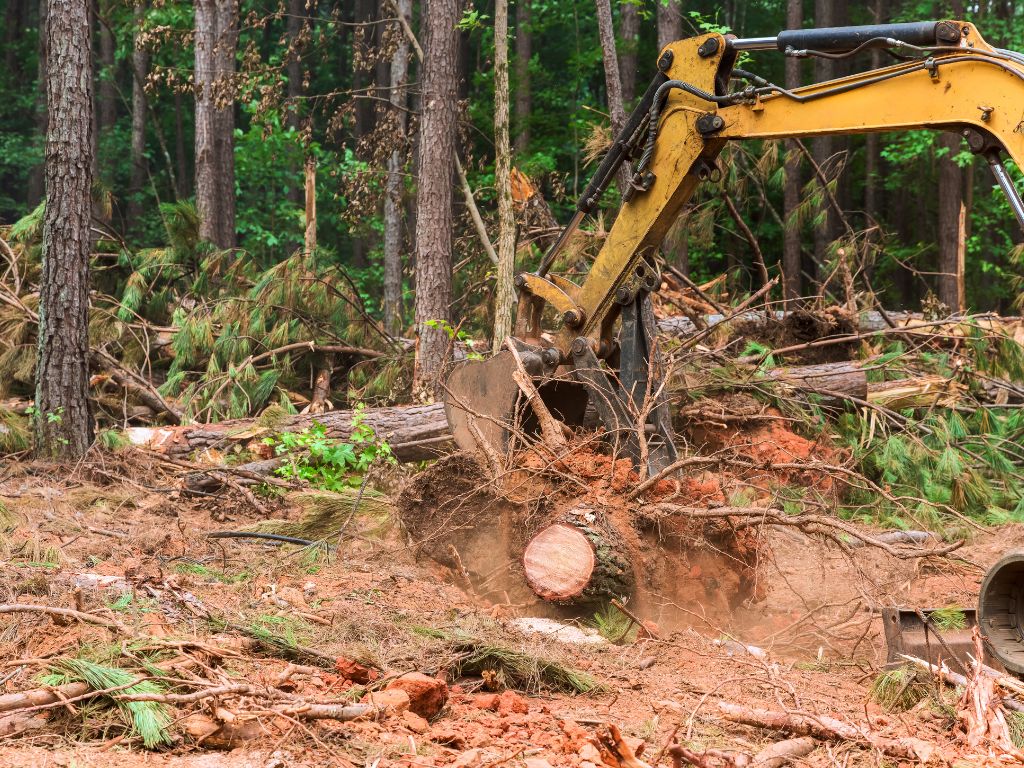 Compra de maquinaria forestal usada