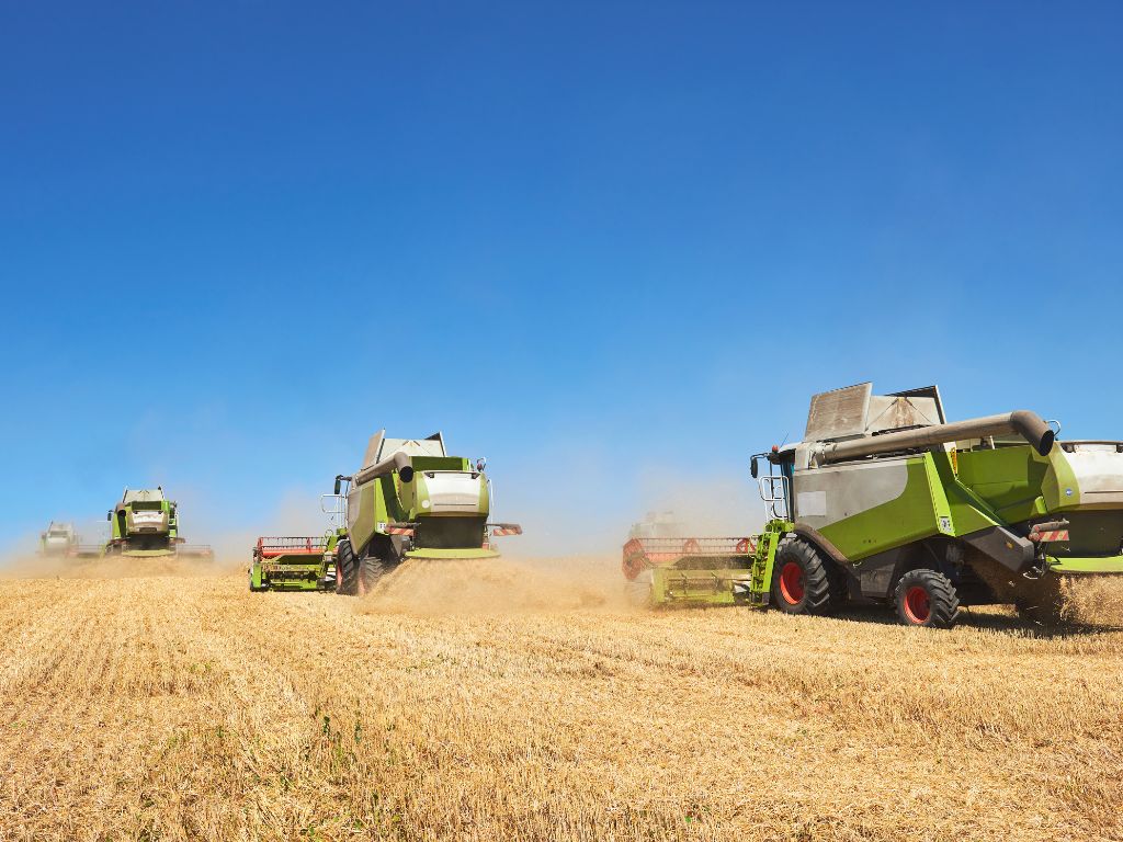 Cosechadora de cereal barata trabajando
